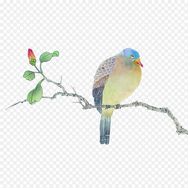 �ִ���Լ��ɫ��֦-������