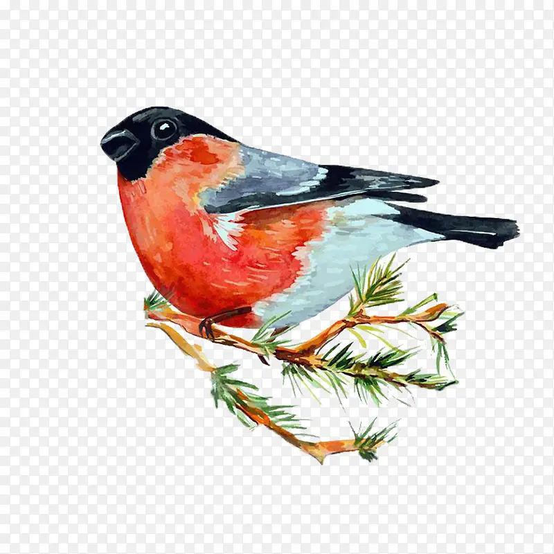 �ִ���Լ��ɫ��֦-������