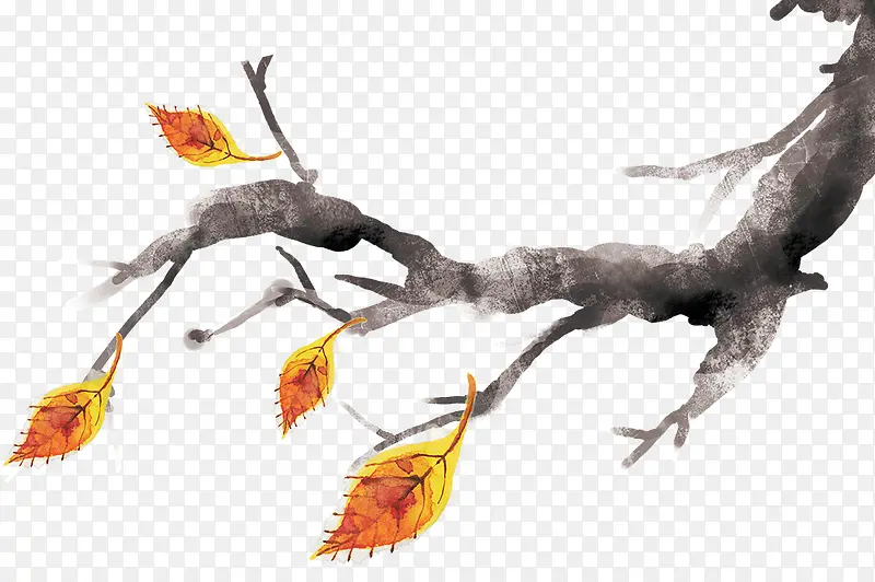 �ֻ��ɫ��֦��ɫ��Ҷ-������