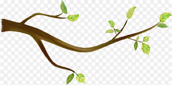 �ֻ��ƽ��֦��Ҷ-������