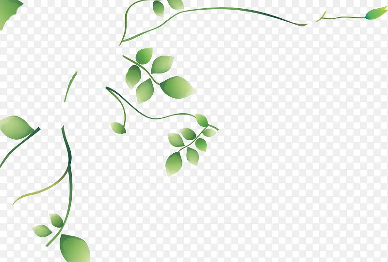 ��ɫ�����ֻ���֦-������