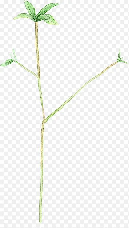 �ֻ���ɫ����ֲ����֦-������