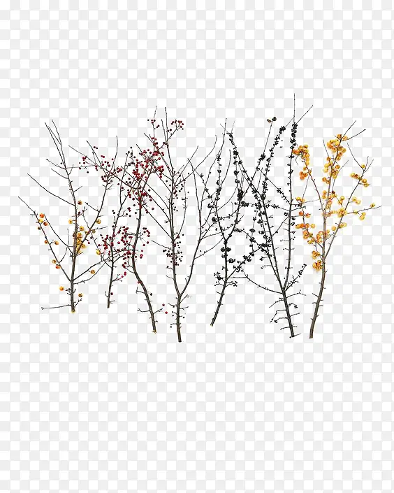 �ֻ���֦-������