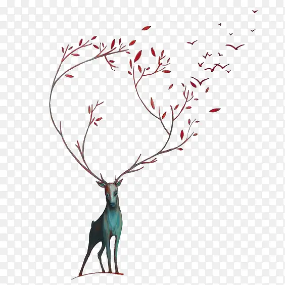 ��֦С¹-������