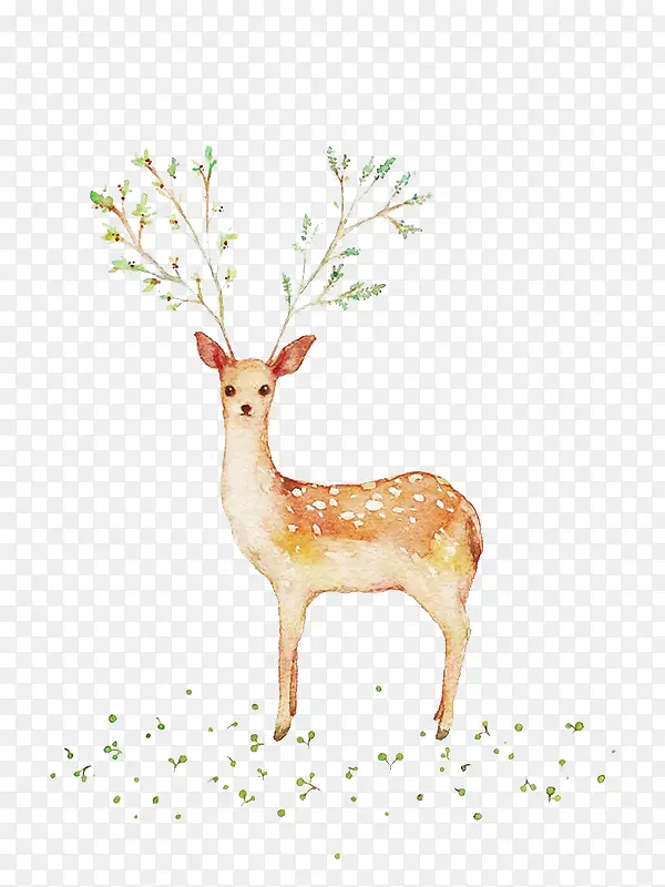 С¹�ֻ�-������