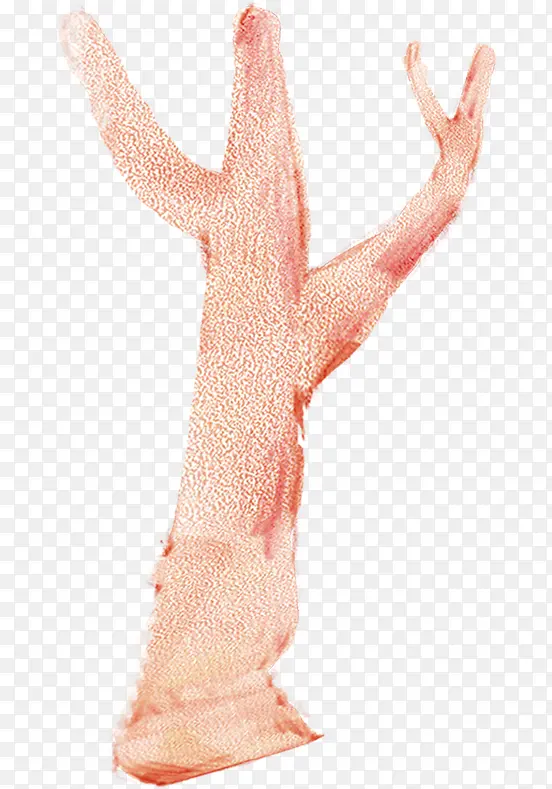 �ֻ��ɫˮ����֦-������