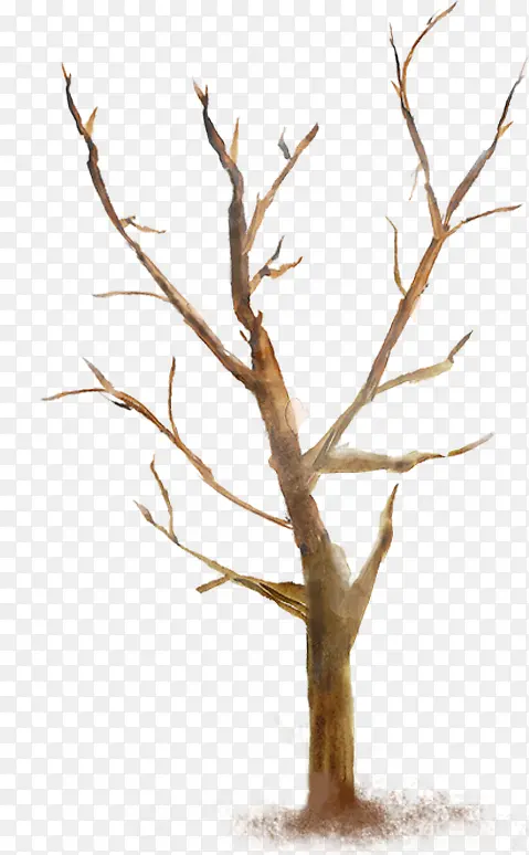 �ֻ���ɫ������֦-������