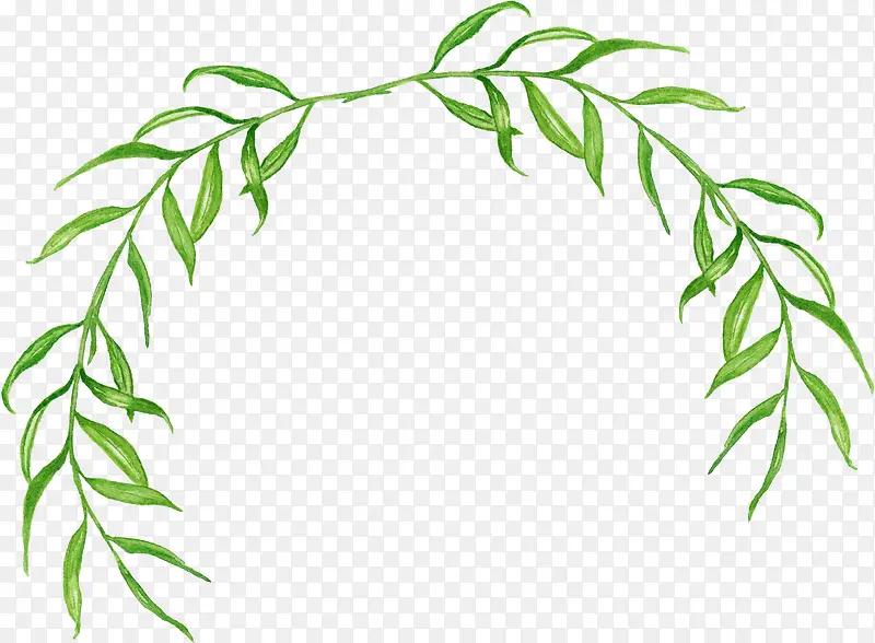 �ֻ���ɫ������֦-������