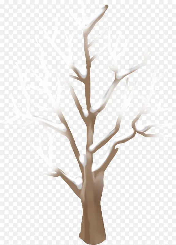 �ֻ涬��ʥ������֦װ��-������