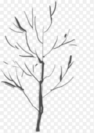 ��ɫ�ֻ���֦����-������