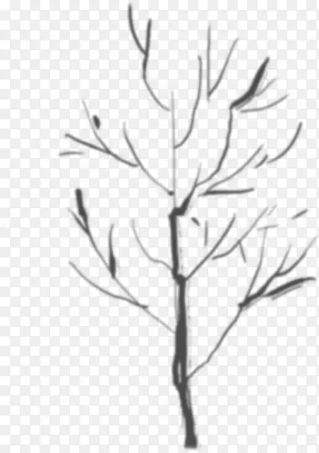 ���պ�ɫ��֦�ֻ�-������