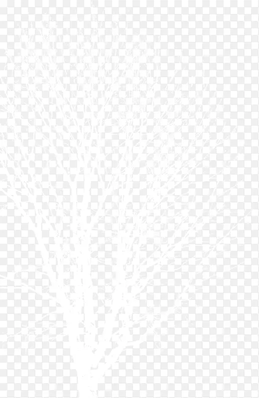 �ֻ涬��ʥ������֦-������