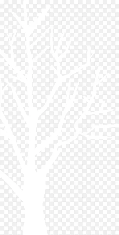 �ֻ涬����ɫ��֦-������