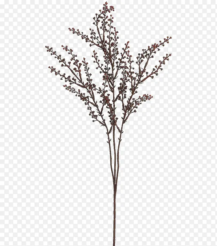 С��-������