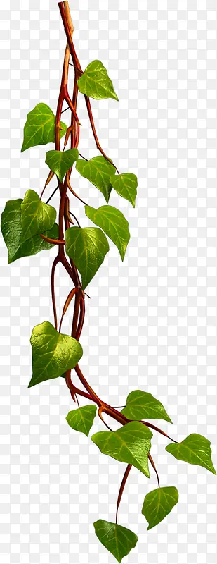 �ֻ�������Ҷ-������