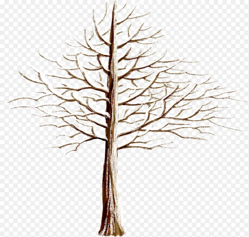 �ֻ���֦�����羰-������