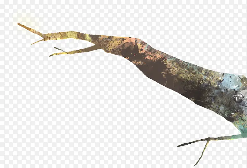 �ֻ涬����֦�ز�-������