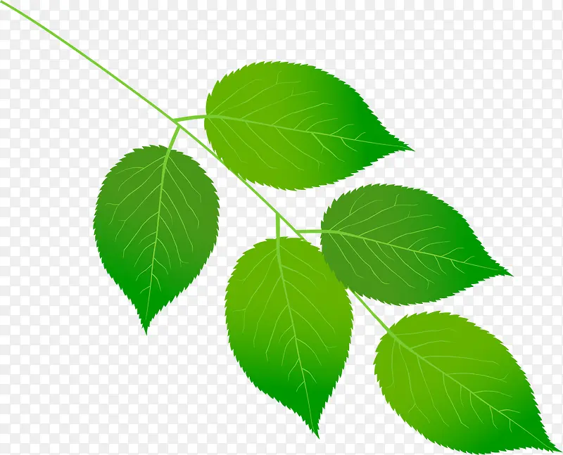 �ֻ���ɫ������Ҷ��֦-������