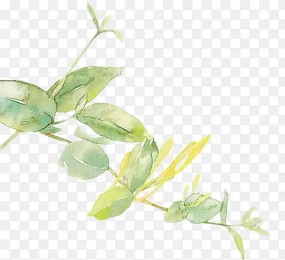 �ֻ����ɫ��Ҷ��֦-������