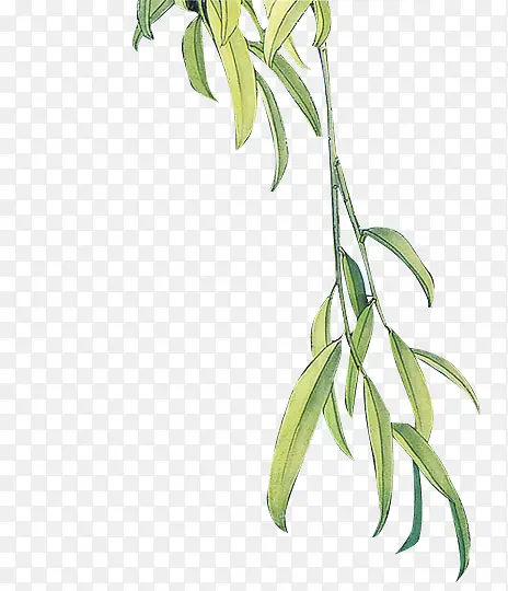 �ֻ����ɫ��Ҷ��֦װ��-������