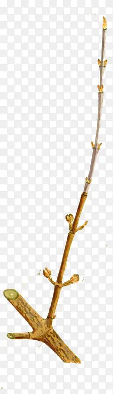 ��ɫ��ѿ��֦�ֻ�廭-������