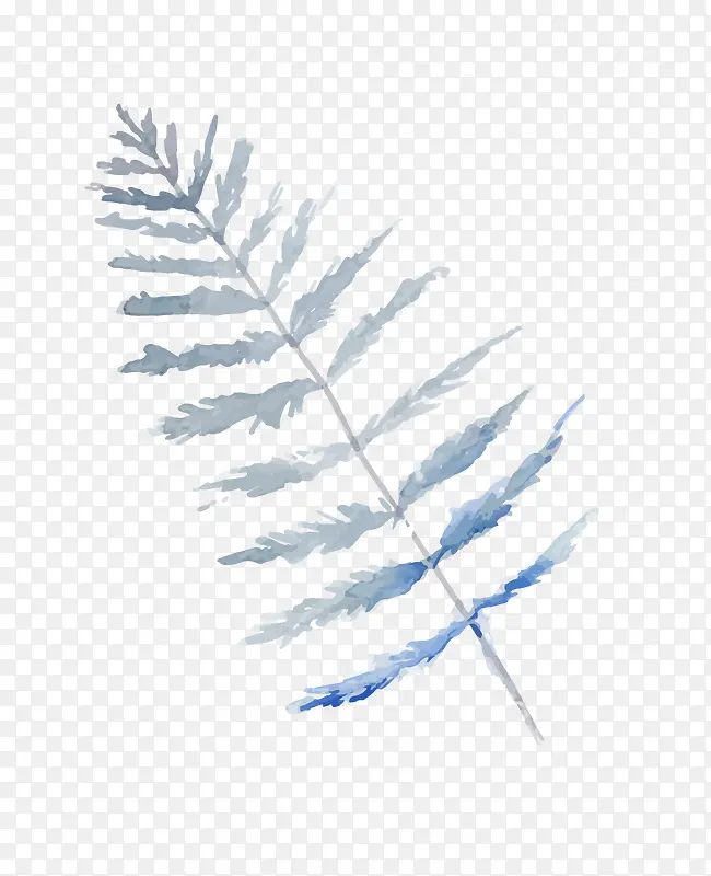 Ư����Ҷ-������