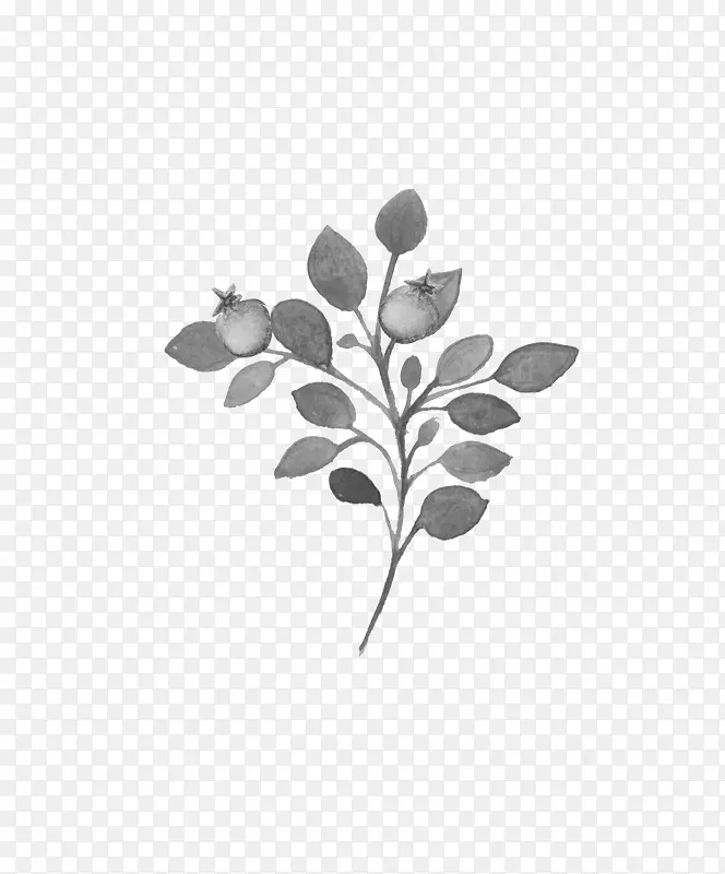 Ư����֦-������