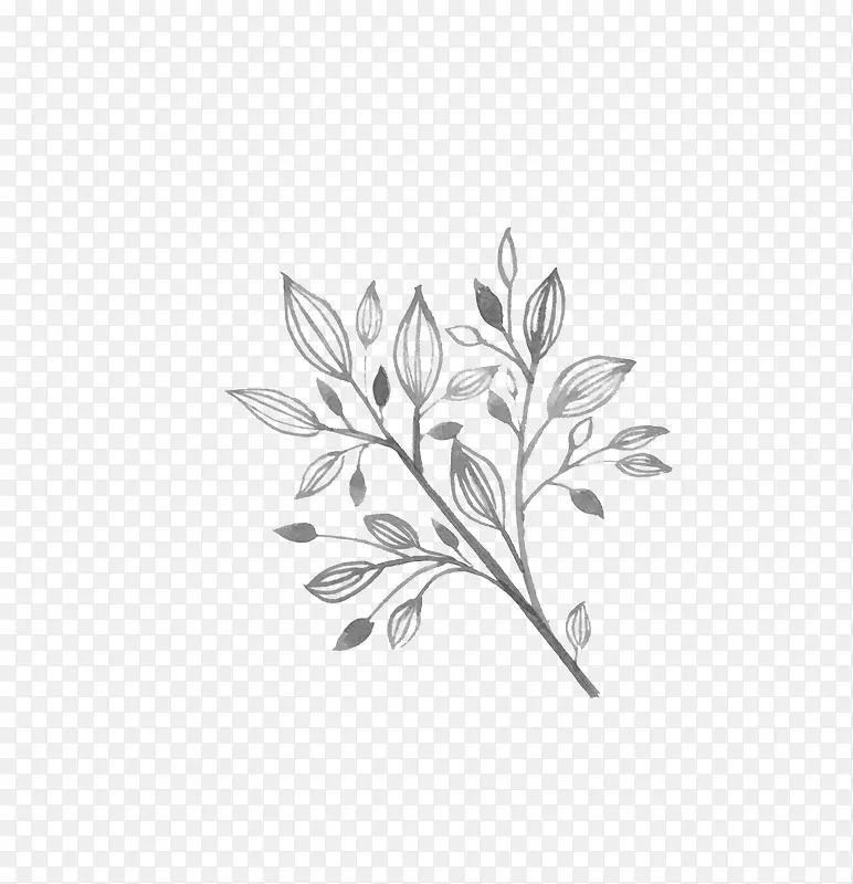 Ư����֦-������