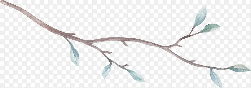 Ư����֦-������