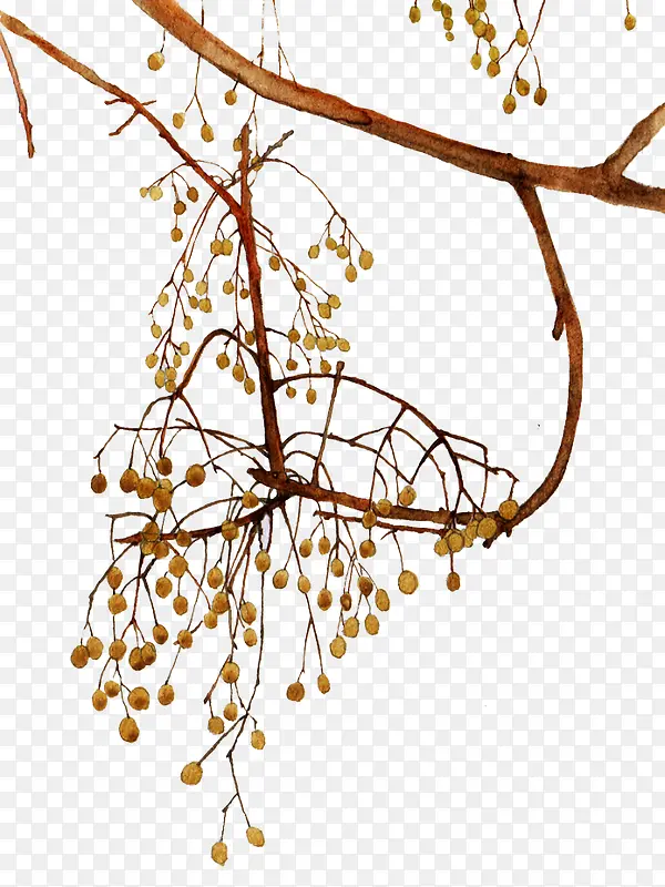 �ֻ���֦ʸ���ز�-������