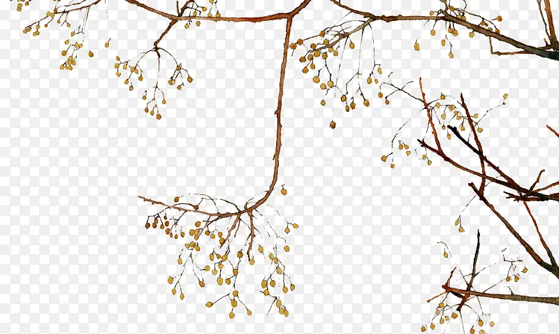 �ֻ���֦-������