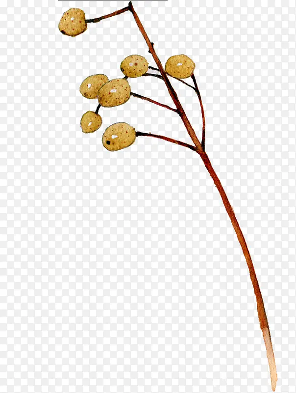 �ֻ���ɫ��֦-������