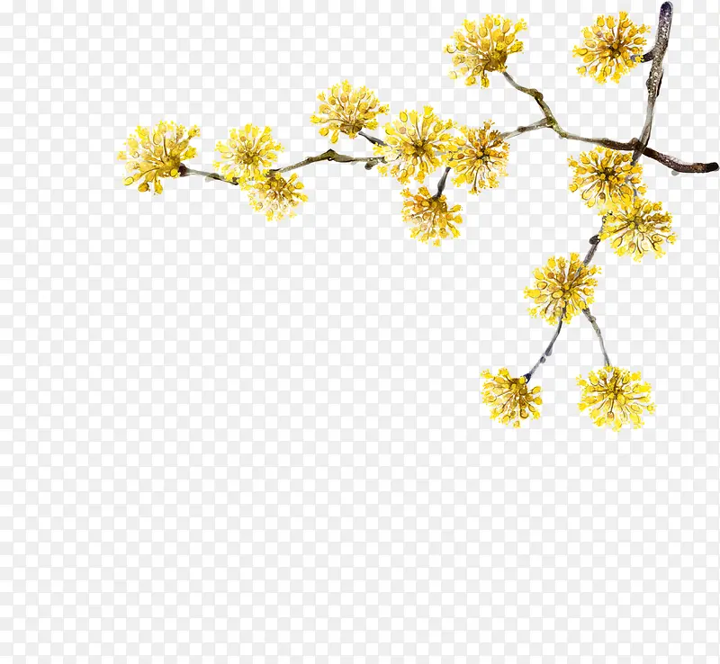 ��ɫ�ֻ�С����֦-������