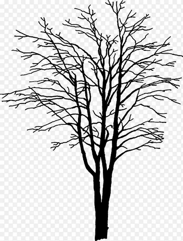 �ֻ��ɫ��֦װ��-������