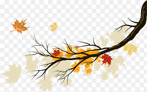 �ֻ��ɫ��Ҷ��ɫ��֦-������