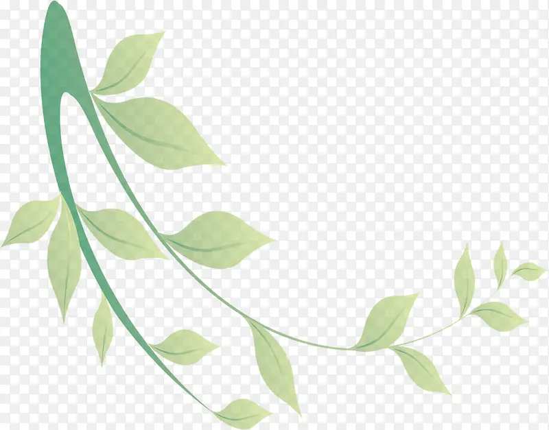 ��ͨ�ֻ���ɫҶƬ��֦����-������