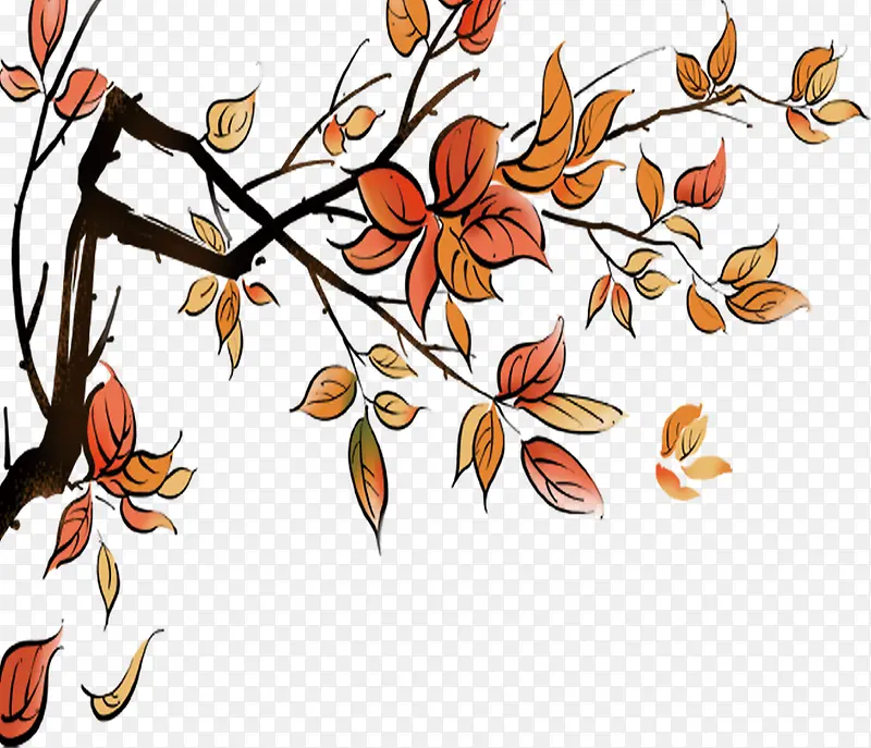 �ֻ�ˮ����Ҷ��֦-������