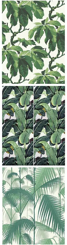 �ֻ���ɫ��Ҷ��֦-������