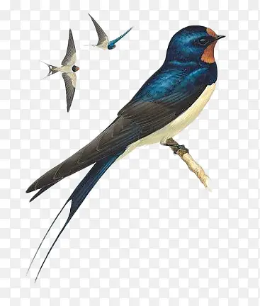 �ֻ�����-������