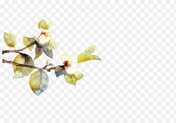 �ֻ���֦Ԫ��-������