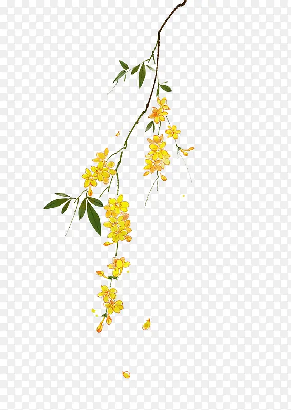 �ֻ��ɫ����֦-������