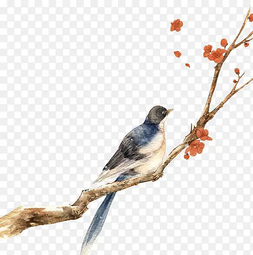 ��֦�ϵ����ֻ溣������-������