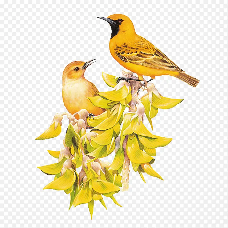 �����֦�ֻ溣������-������