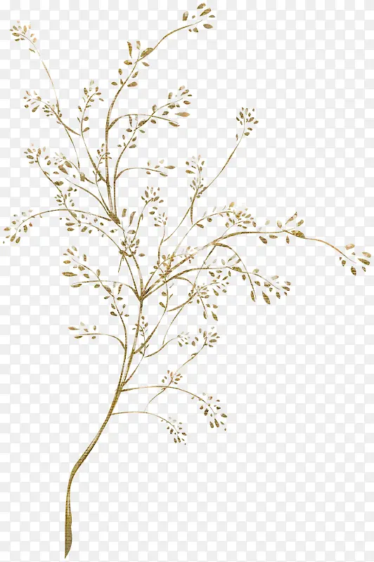 �ֻ���ֲ֦��-������