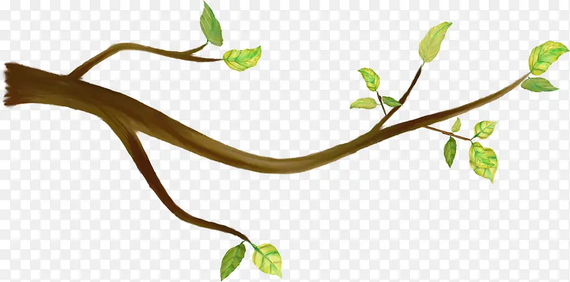 �ֻ���֦ ��ɫҶ��-������