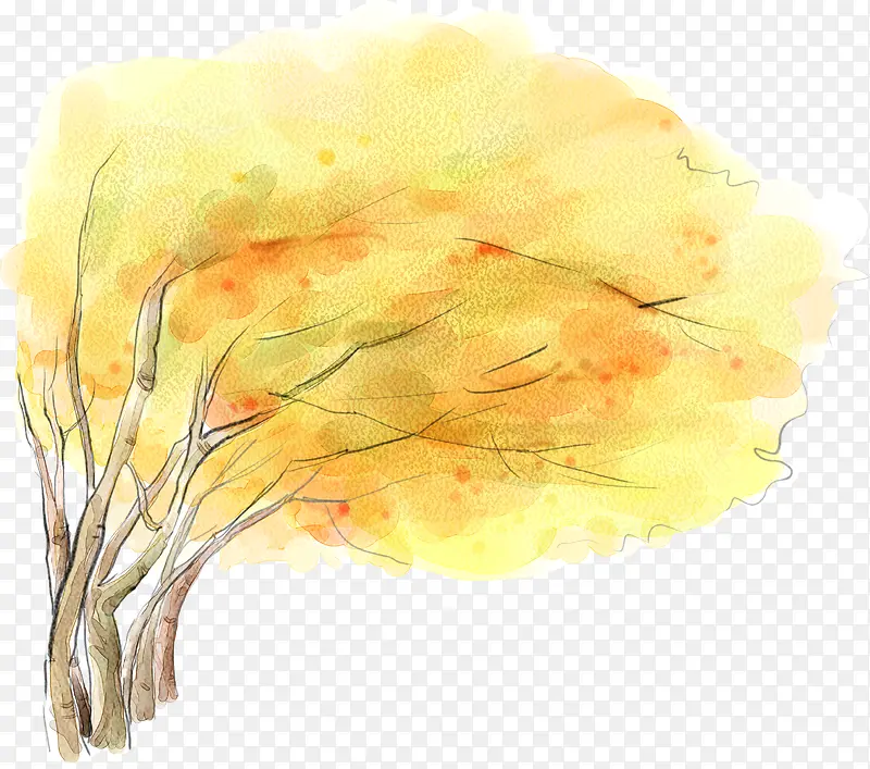 �����ֻ�ˮ�ʴ���ֲ��Ч��-������