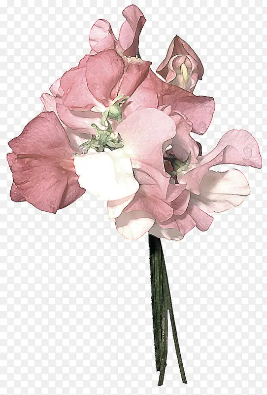 �ֻ滨��-������