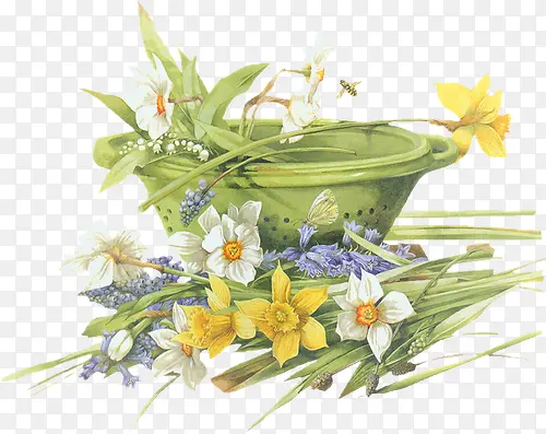 ���⻨��ͼƬֲ�ﻨ���ز�-������