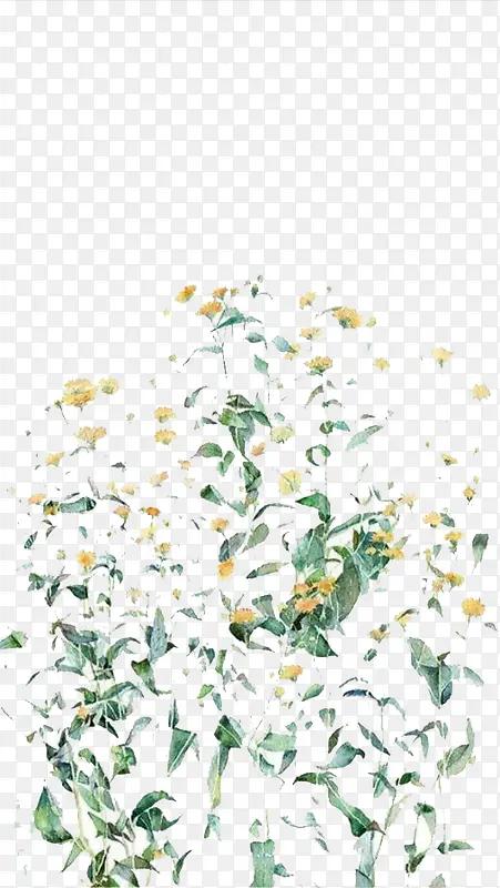 �ֻ滨��-������