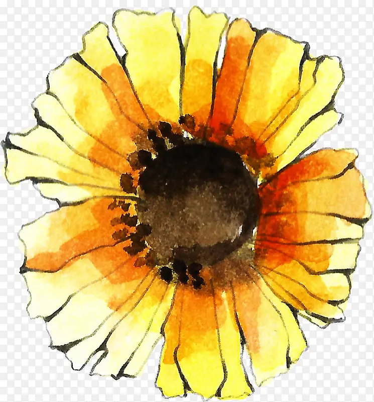 ˮ��ֲ��-������